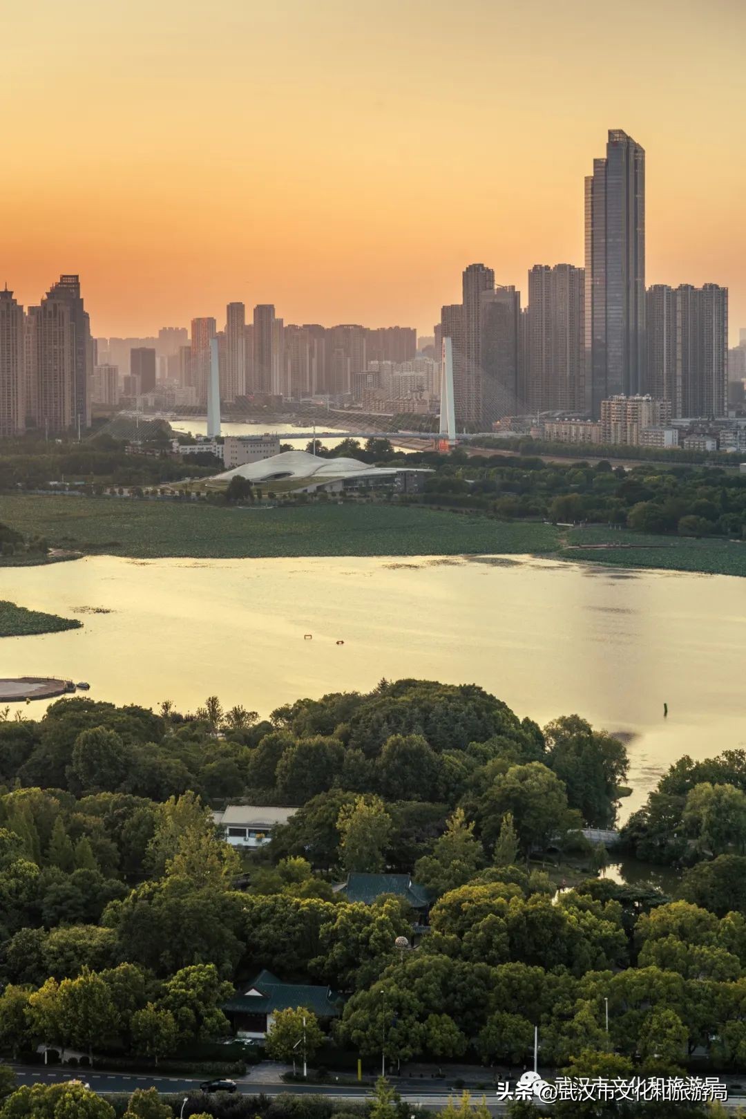 餐厅播放的音乐_西餐厅适合播什么音乐剧_适合餐厅播放的纯音乐